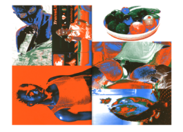 Pierrick Brégeon, Graphic Design – Eurostandard, Pinus Brepo®, E-mail