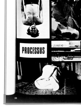 Pierrick Brégeon, Graphic Design – Eurostandard, Pinus Brepo®, E-mail